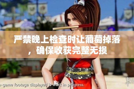 严禁晚上检查时让葡萄掉落，确保收获完整无损