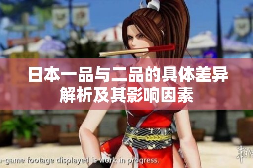 日本一品与二品的具体差异解析及其影响因素
