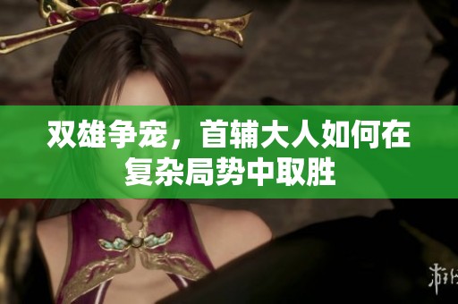 双雄争宠，首辅大人如何在复杂局势中取胜