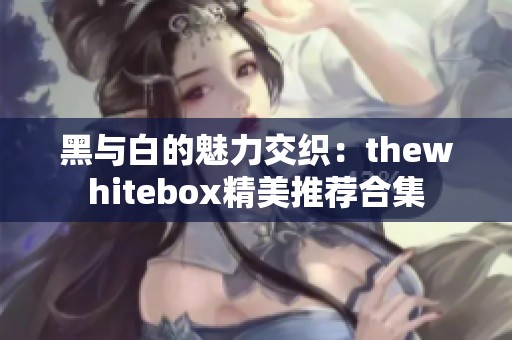 黑与白的魅力交织：thewhitebox精美推荐合集