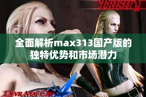 全面解析max313国产版的独特优势和市场潜力