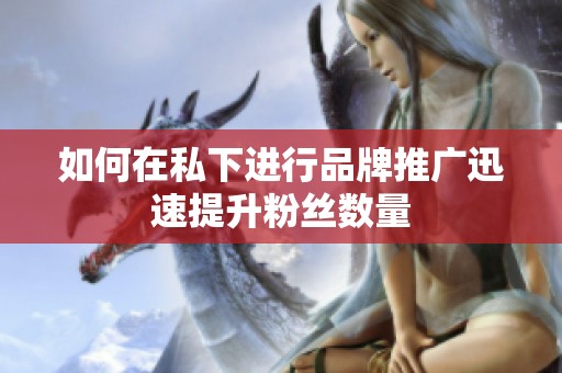 如何在私下进行品牌推广迅速提升粉丝数量