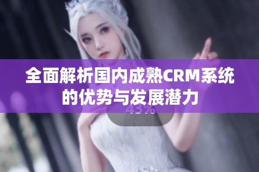 全面解析国内成熟CRM系统的优势与发展潜力