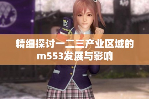精细探讨一二三产业区域的m553发展与影响