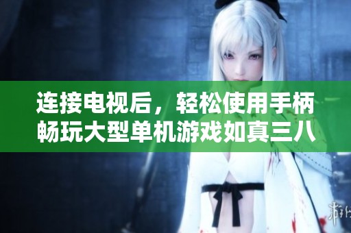 连接电视后，轻松使用手柄畅玩大型单机游戏如真三八