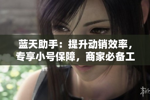 蓝天助手：提升动销效率，专享小号保障，商家必备工具
