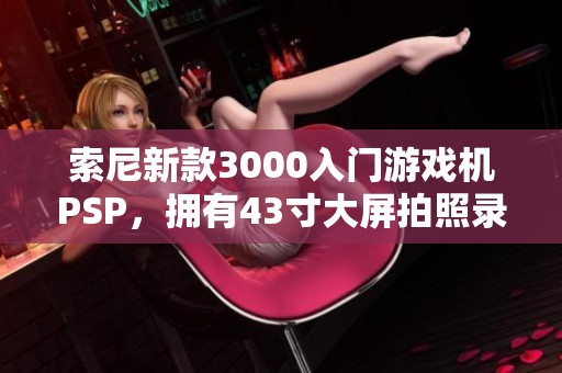 索尼新款3000入门游戏机PSP，拥有43寸大屏拍照录像功能