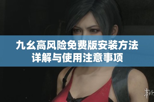 九幺高风险免费版安装方法详解与使用注意事项