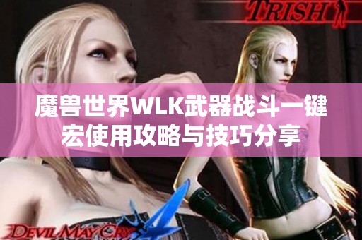 魔兽世界WLK武器战斗一键宏使用攻略与技巧分享