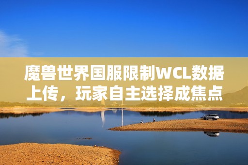 魔兽世界国服限制WCL数据上传，玩家自主选择成焦点