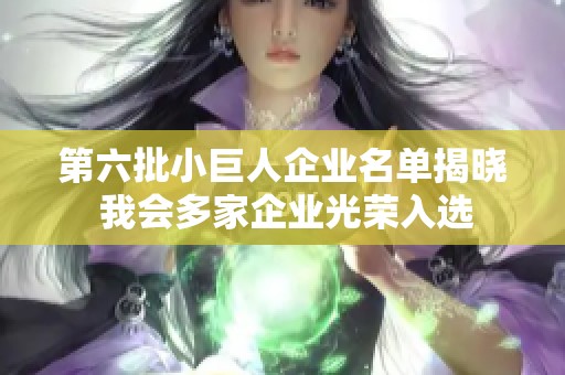 第六批小巨人企业名单揭晓 我会多家企业光荣入选