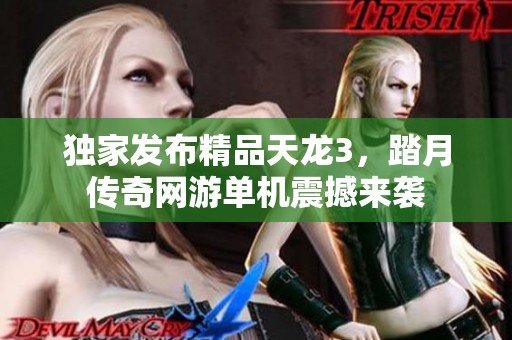 独家发布精品天龙3，踏月传奇网游单机震撼来袭