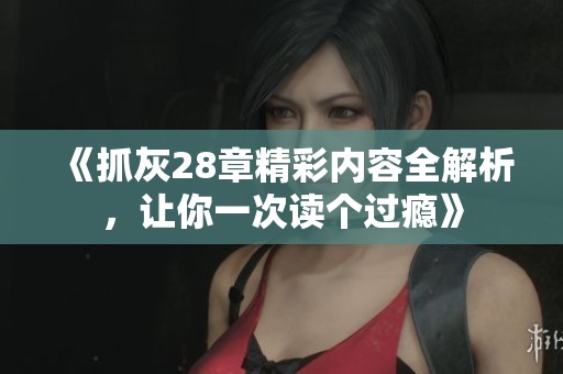 《抓灰28章精彩内容全解析，让你一次读个过瘾》