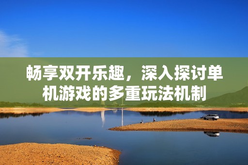 畅享双开乐趣，深入探讨单机游戏的多重玩法机制