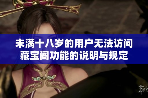 未满十八岁的用户无法访问藏宝阁功能的说明与规定