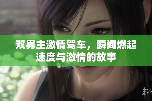 双男主激情驾车，瞬间燃起速度与激情的故事