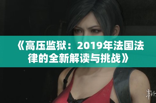《高压监狱：2019年法国法律的全新解读与挑战》
