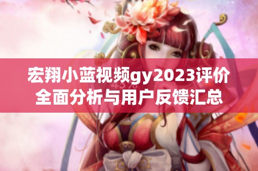 宏翔小蓝视频gy2023评价全面分析与用户反馈汇总