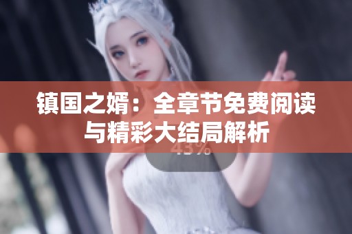 镇国之婿：全章节免费阅读与精彩大结局解析