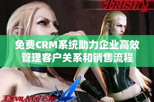 免费CRM系统助力企业高效管理客户关系和销售流程