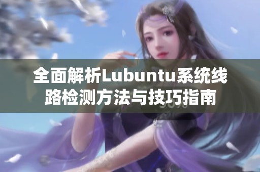 全面解析Lubuntu系统线路检测方法与技巧指南