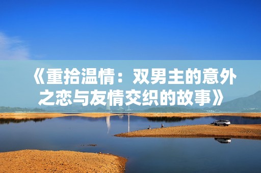 《重拾温情：双男主的意外之恋与友情交织的故事》