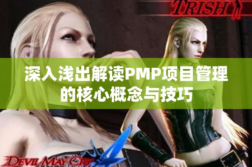深入浅出解读PMP项目管理的核心概念与技巧