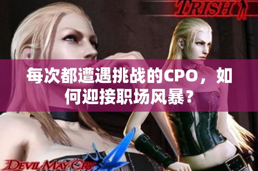 每次都遭遇挑战的CPO，如何迎接职场风暴？