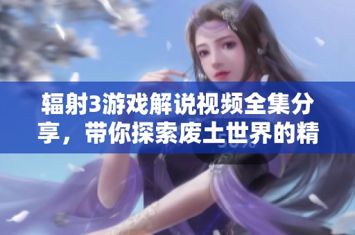 辐射3游戏解说视频全集分享，带你探索废土世界的精彩旅程