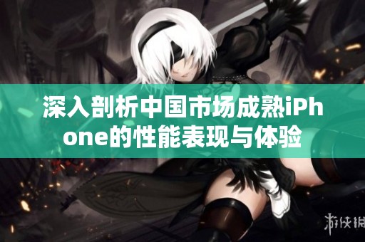 深入剖析中国市场成熟iPhone的性能表现与体验