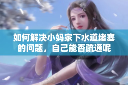 如何解决小妈家下水道堵塞的问题，自己能否疏通呢