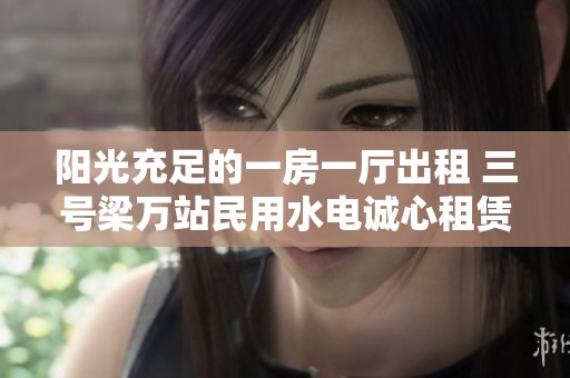 阳光充足的一房一厅出租 三号梁万站民用水电诚心租赁