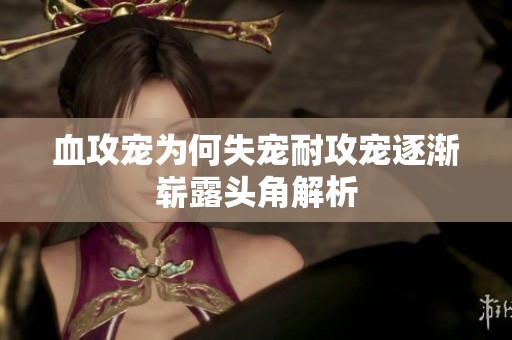 血攻宠为何失宠耐攻宠逐渐崭露头角解析