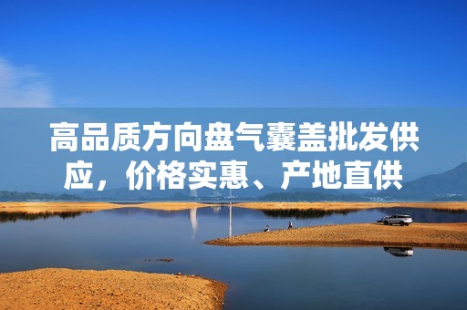 高品质方向盘气囊盖批发供应，价格实惠、产地直供