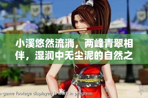 小溪悠然流淌，两峰青翠相伴，湿润中无尘泥的自然之美