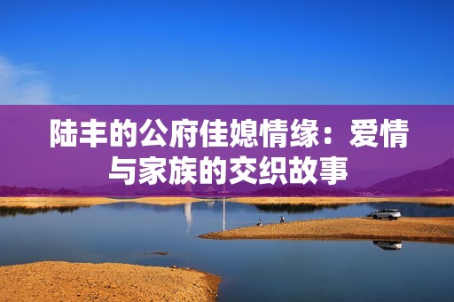 陆丰的公府佳媳情缘：爱情与家族的交织故事