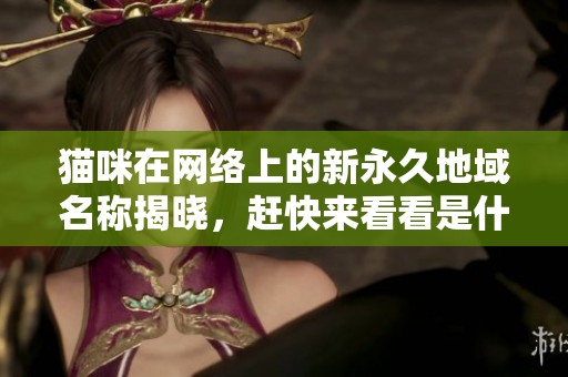 猫咪在网络上的新永久地域名称揭晓，赶快来看看是什么吧