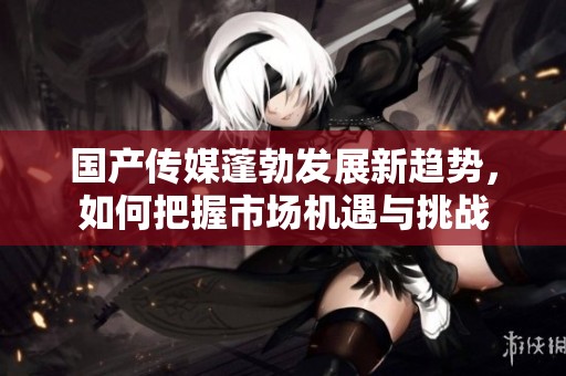 国产传媒蓬勃发展新趋势，如何把握市场机遇与挑战