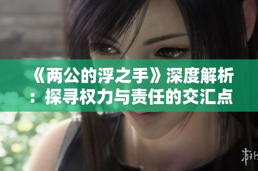 《两公的浮之手》深度解析：探寻权力与责任的交汇点