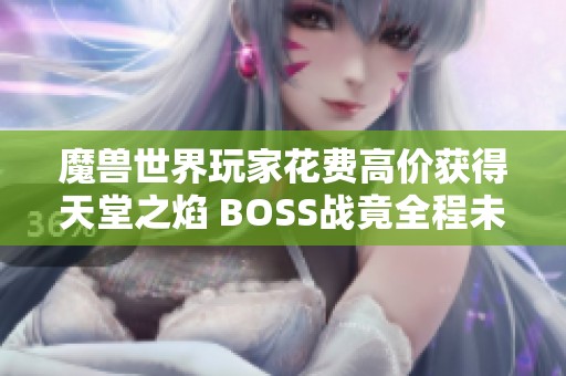 魔兽世界玩家花费高价获得天堂之焰 BOSS战竟全程未触发