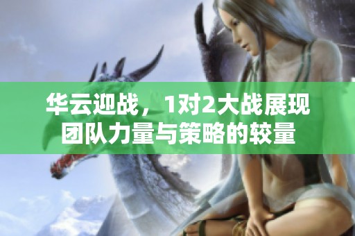 华云迎战，1对2大战展现团队力量与策略的较量