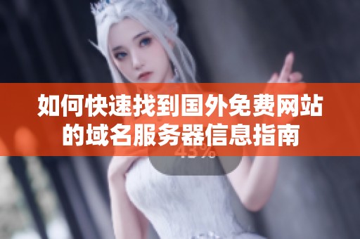 如何快速找到国外免费网站的域名服务器信息指南
