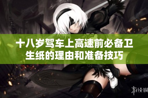 十八岁驾车上高速前必备卫生纸的理由和准备技巧