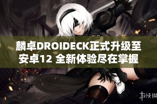麟卓DROIDECK正式升级至安卓12 全新体验尽在掌握之中