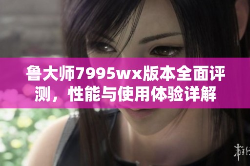 鲁大师7995wx版本全面评测，性能与使用体验详解