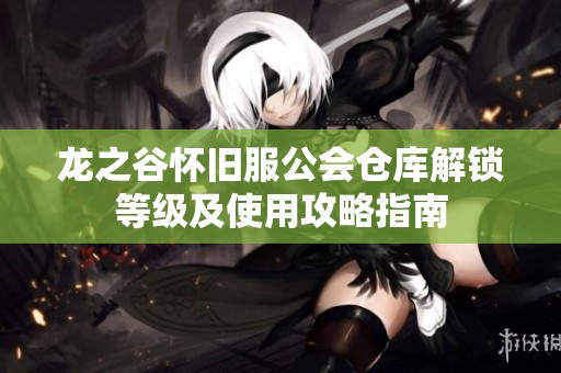 龙之谷怀旧服公会仓库解锁等级及使用攻略指南