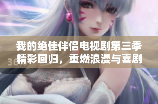 我的绝佳伴侣电视剧第三季精彩回归，重燃浪漫与喜剧新篇章
