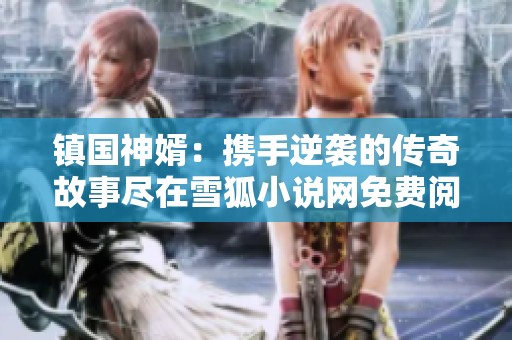镇国神婿：携手逆袭的传奇故事尽在雪狐小说网免费阅读