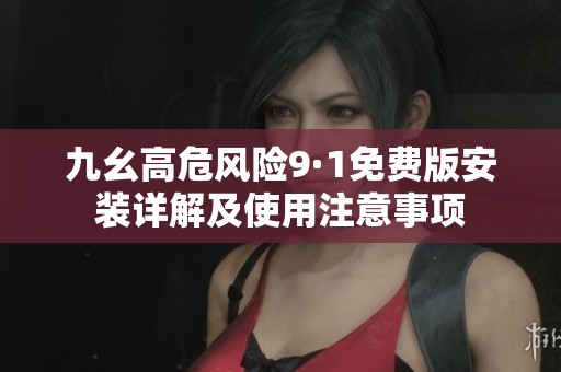 九幺高危风险9·1免费版安装详解及使用注意事项
