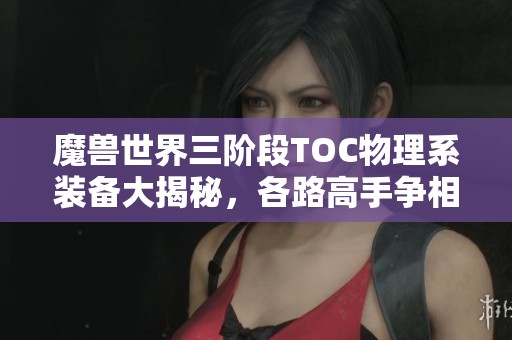 魔兽世界三阶段TOC物理系装备大揭秘，各路高手争相争夺！